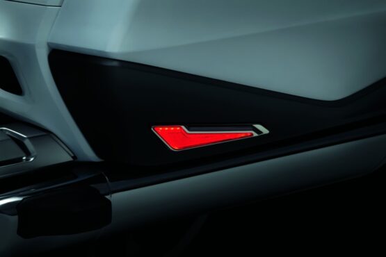 Omni L.E.D. Side Saddlebag Inserts 18-20 GL1800 Chrome - Image 2