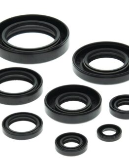 Vertex Oil Seal Kit Fits 85-86 Honda ATC250R 86-89 TRX250R