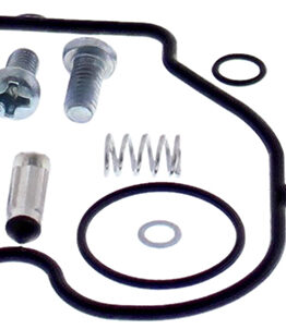 Carburetor Rebuild Kit