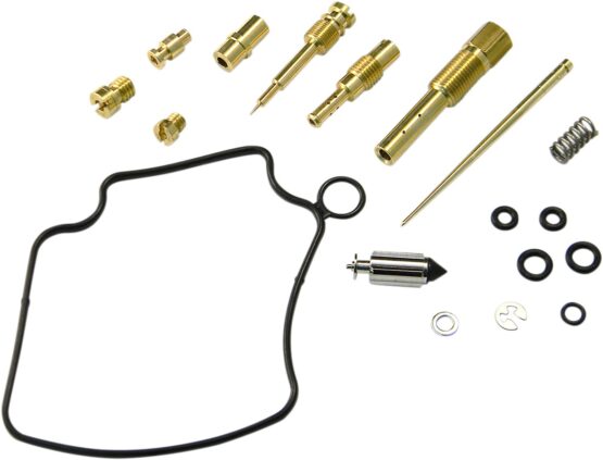 Carburetor Repair Kit