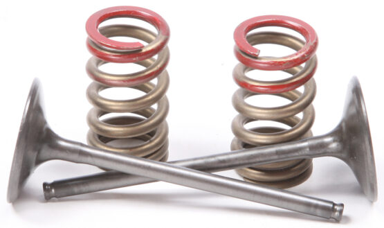 Steel Intake Valve/Spring Kit