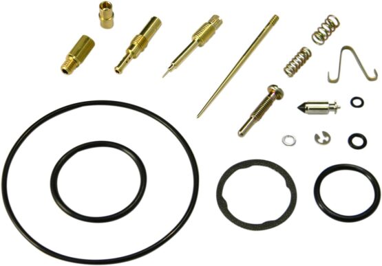 Carburetor Repair Kit