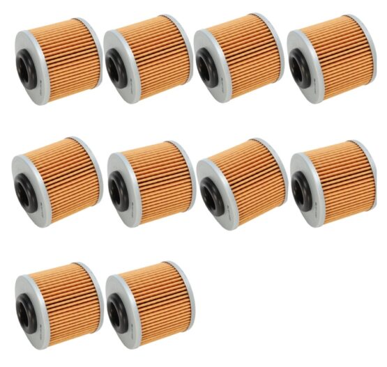 Hiflo HF569 Oil Filter Black by HiFloFiltro - 10 Pack