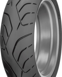 Roadsmart III Rear Tire 190/55ZR17 75W Radial TL
