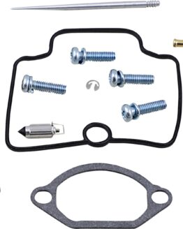 Carburetor Repair Kit