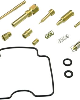 Carburetor Repair Kit