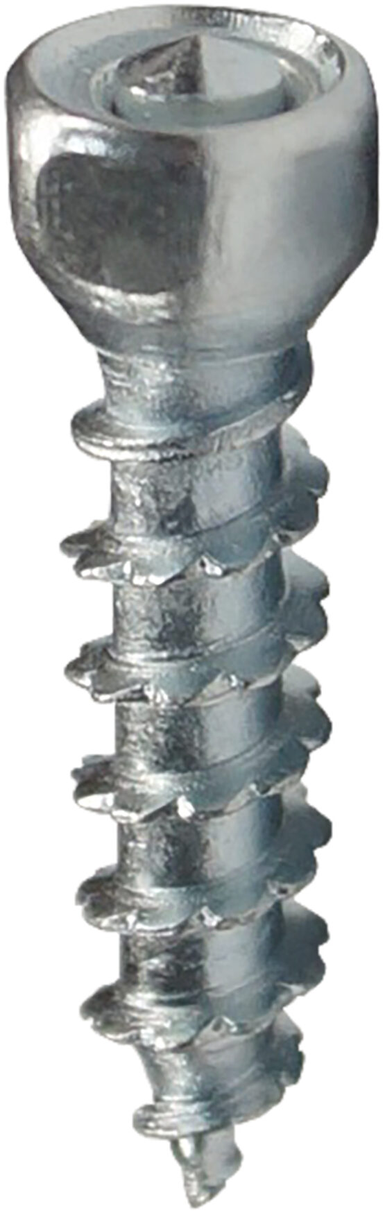 Woodys Boss Carbide Tire Screws 30mm 100-Pack with Tool - Image 2