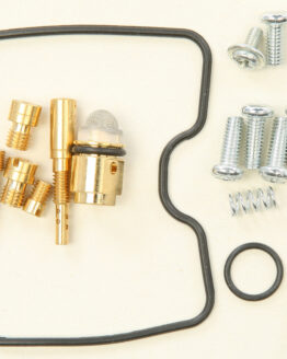 Carburetor Repair Kit