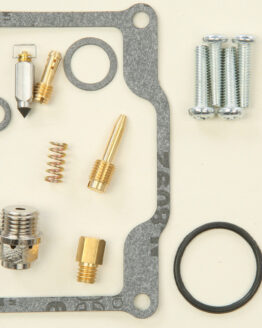 Carburetor Repair Kit