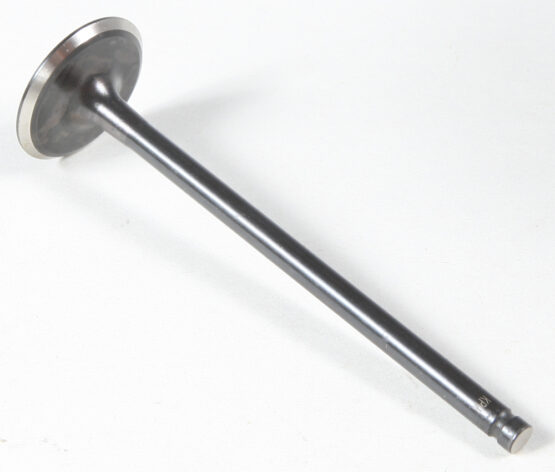 Black Diamond Exhaust Valve