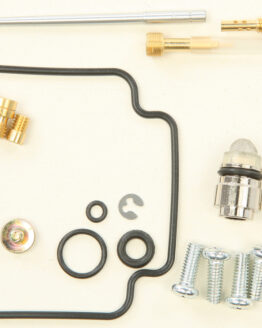 Carburetor Repair Kit