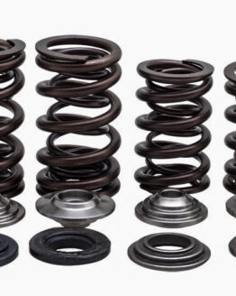 Racing Valve Spring Kit