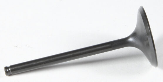 Black Diamond Intake Valve