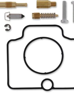 Carburetor Repair Kit