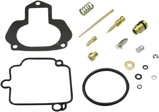 Carburetor Repair Kit