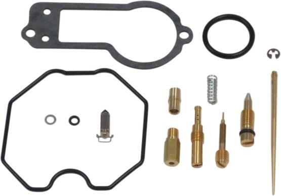 Carburetor Repair Kit