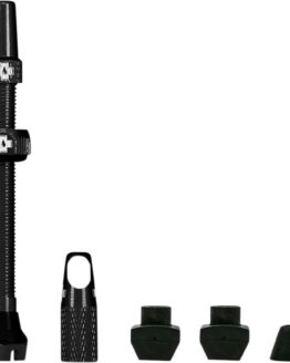 Tubeless Valve