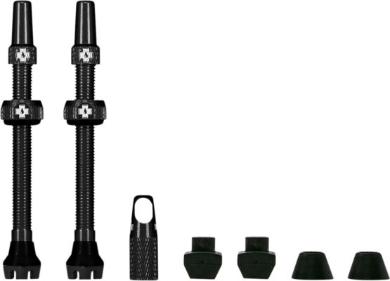 Tubeless Valve