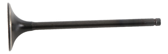 Single Steel Intake Valve