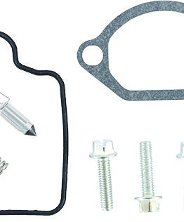 Carburetor Repair Kit