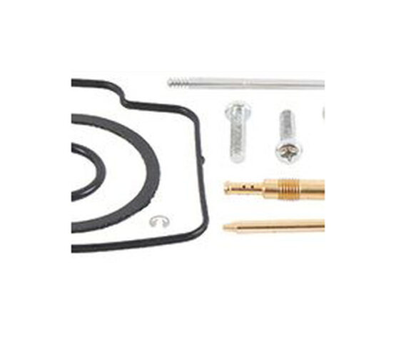Bike Carburetor Rebuild Kit