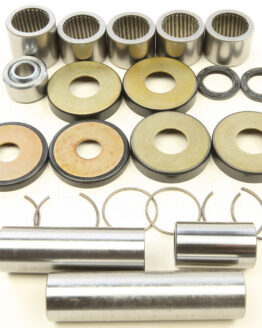Swing Arm Linkage Bearing & Seal Kit
