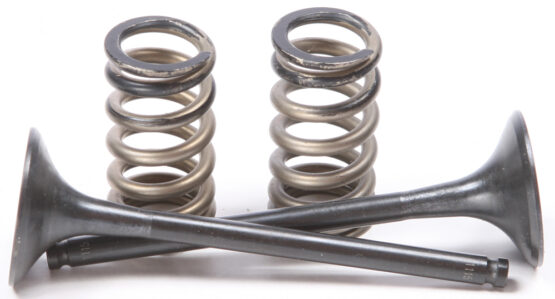 Steel Exhaust Valve/Spring Kit