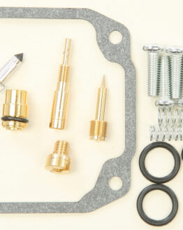 Carburetor Repair Kit