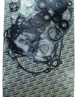 14-21 Kawasaki KRF800 Teryx Complete Gasket Set w/ Oil Seal