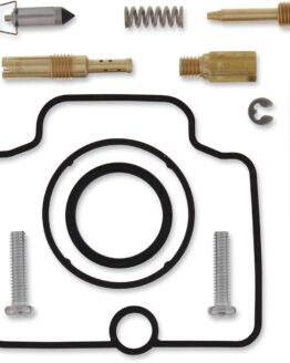 Carburetor Repair Kit