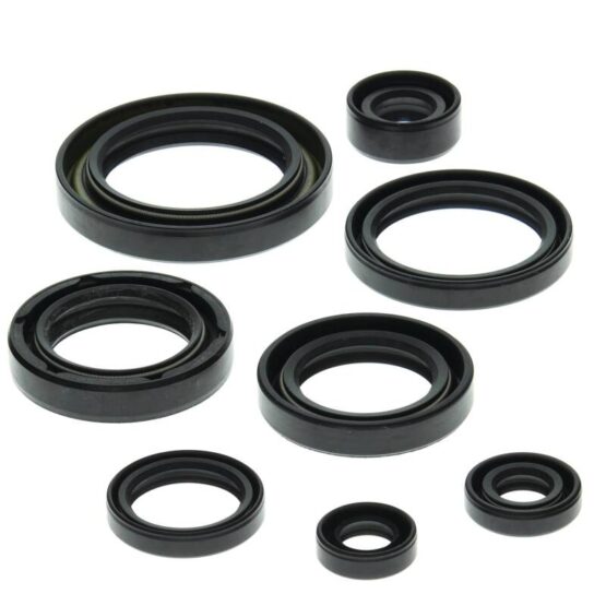 Vertex Oil Seal Kit Fits 85-86 Suzuki LT250R Quadracer