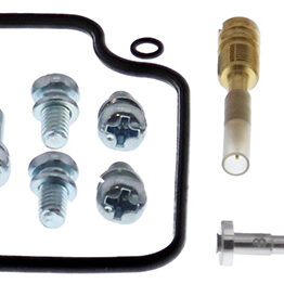 Carburetor Rebuild Kit