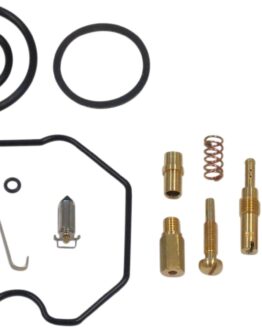 Carburetor Repair Kit