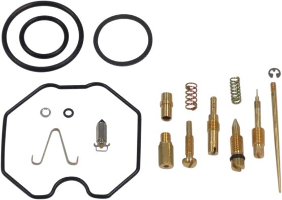 Carburetor Repair Kit
