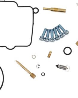 Carburetor Repair Kit