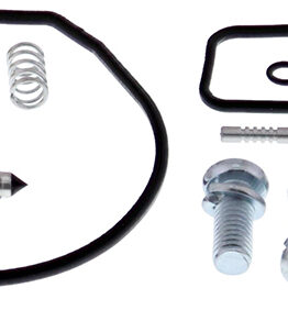 Carburetor Rebuild Kit