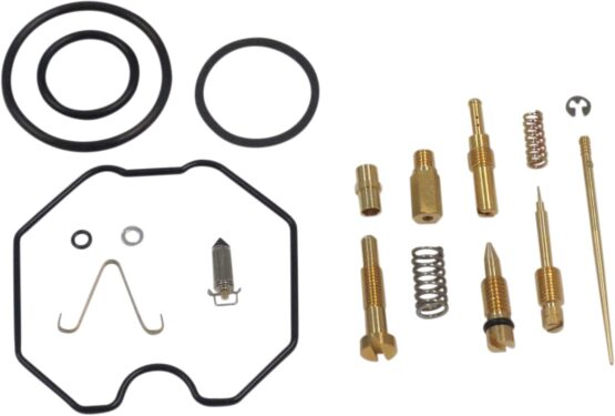 Carburetor Repair Kit