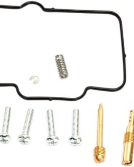 Carburetor Repair Kit