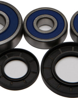 Rear Wheel Bearing & Seal Kit