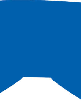 Replacement Blue Mirror Lens w/ Posts For Zone/Focus Goggle