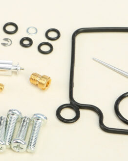 Carburetor Repair Kit