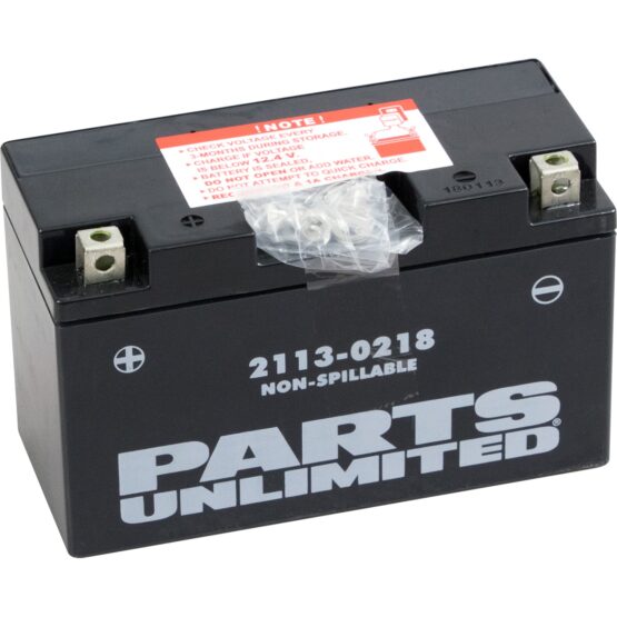 AGM Maintenance Free Battery 120CCA 12V 6.5Ah Factory Activated