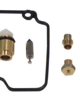 Carburetor Repair Kit