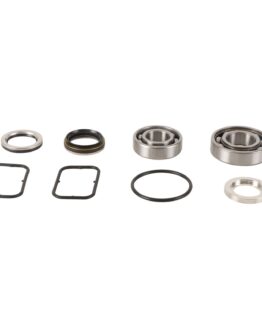 All Balls Racing Jet Pump Rebuild Kit