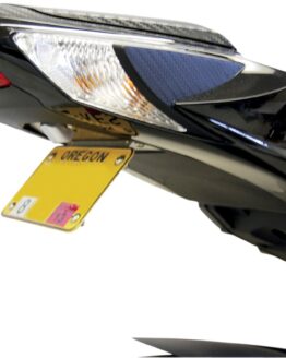 Fender Eliminator