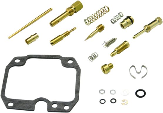 Carburetor Repair Kit