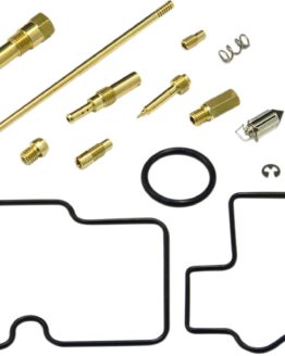 Carburetor Repair Kit