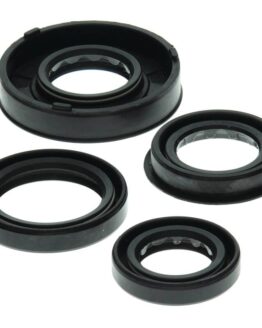 Vertex Engine Oil Seal Kit 822261