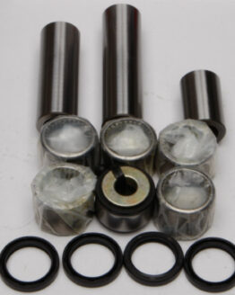 Swing Arm Linkage Bearing & Seal Kit