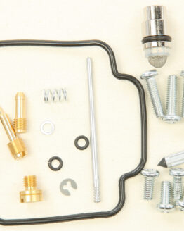 Carburetor Repair Kit